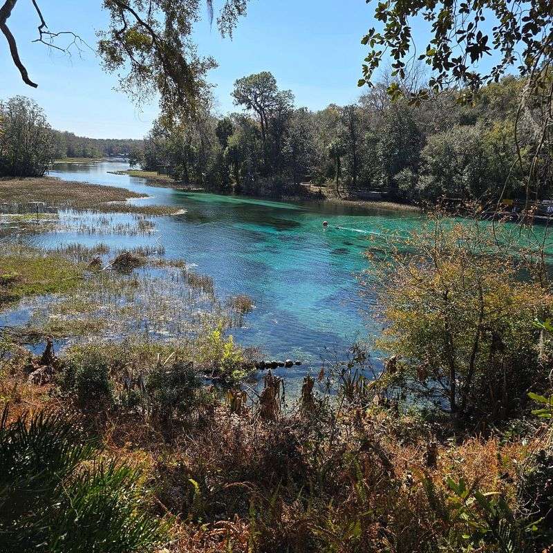Rainbow River / Rainbow Springs State Park (Dunnellon)
