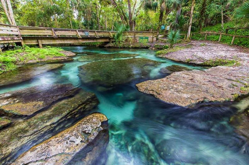 Rock Springs Run (Apopka)