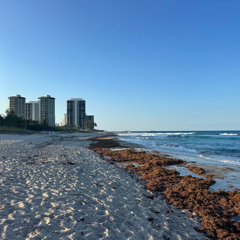 Singer Island (Palm Beach County)