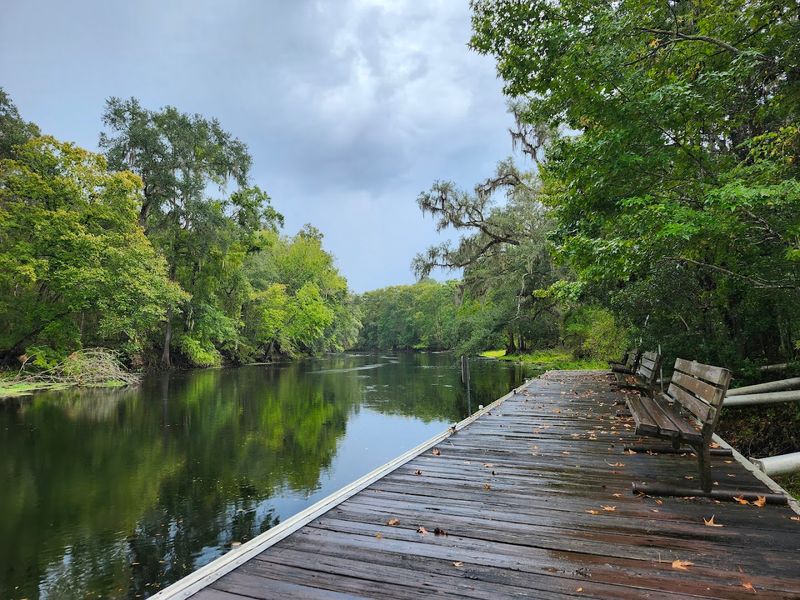 Rope Swings and Natural Spring Features