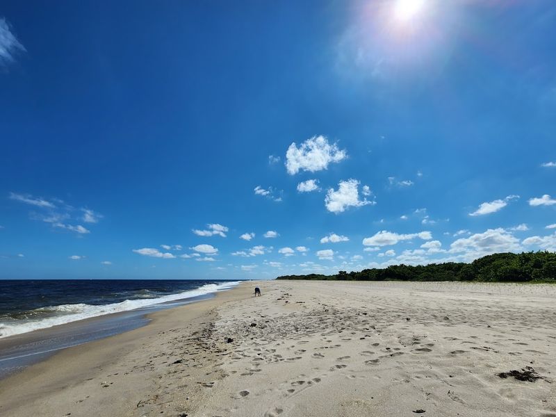St. Lucie Inlet Preserve State Park Beach (Stuart)