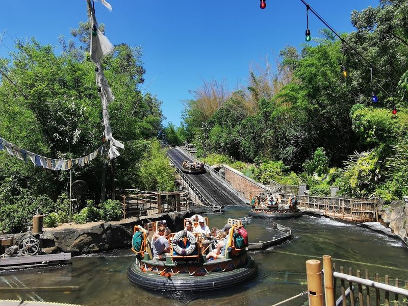 Disney's Animal Kingdom Theme Park (Orlando)