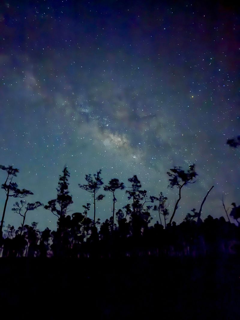 Big Cypress National Preserve (Ochopee)