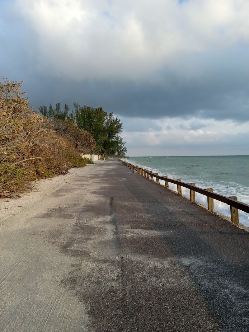 The Scenic Drive That'll Make You Forget You're Still in Florida