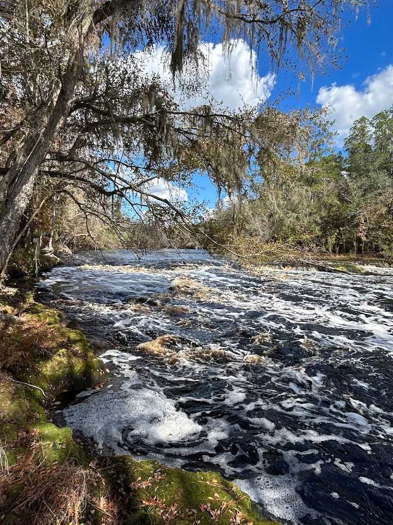 Robinson Branch Falls — Columbia County (North Florida)
