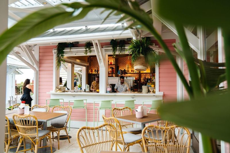 Farm-To-Table Dining Scene Rivaling Tuscany