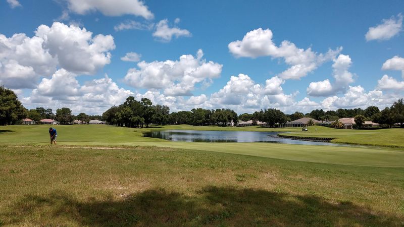 There's more variety here than people expect