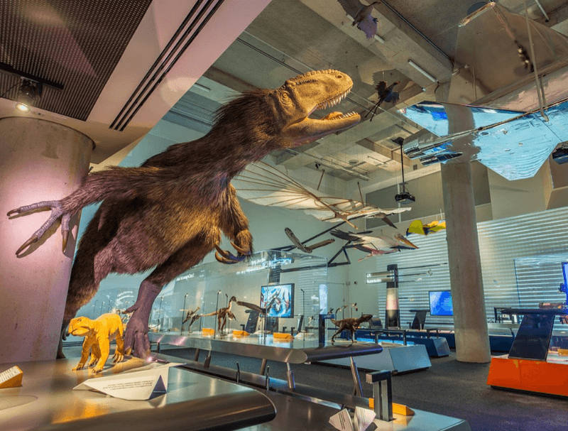 Phillip and Patricia Frost Museum of Science, Miami