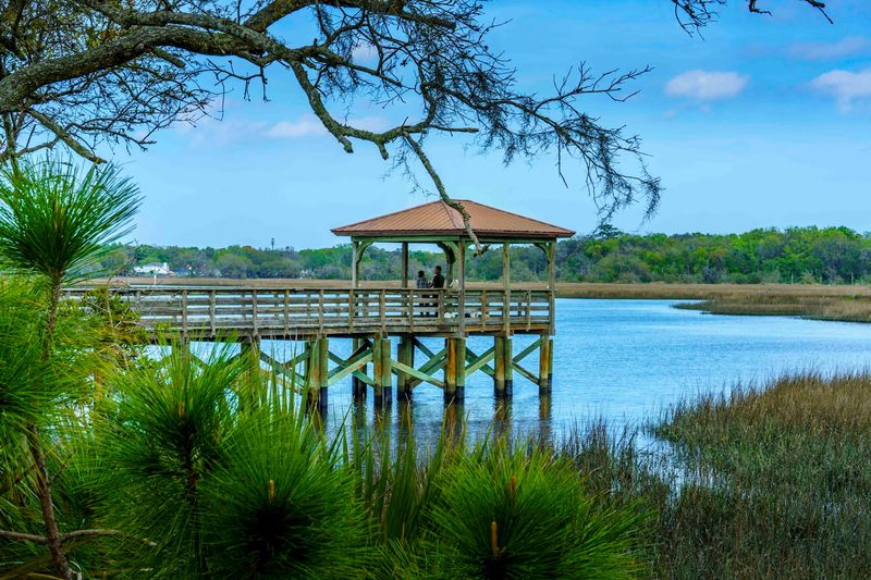 Marsh Overlooks That Stop You in Your Tracks