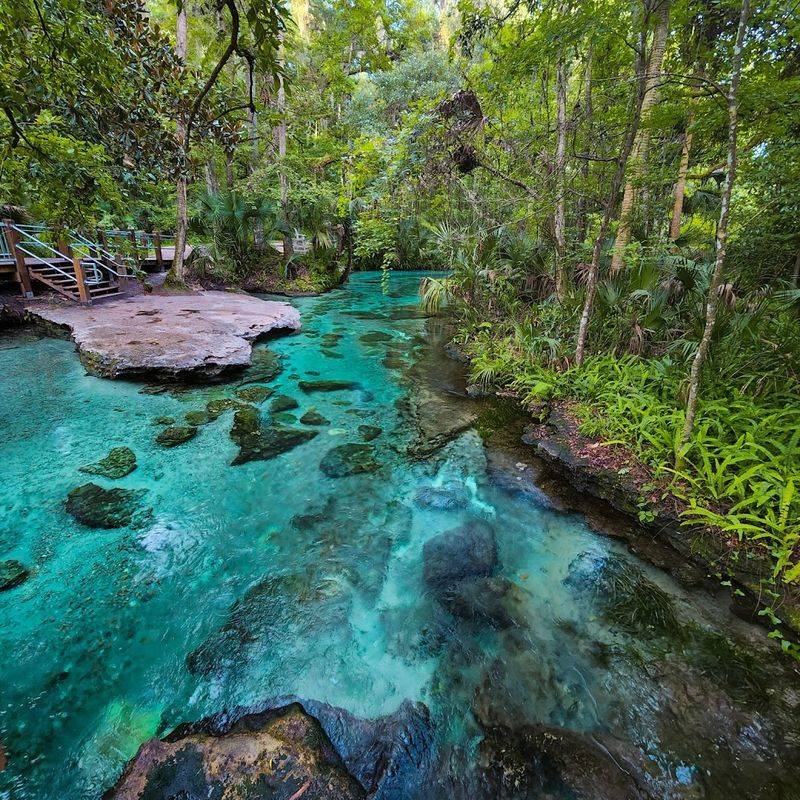 Why Rock Springs Stays a Local Favorite