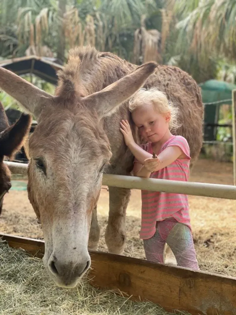 Why This Sanctuary Stands Apart