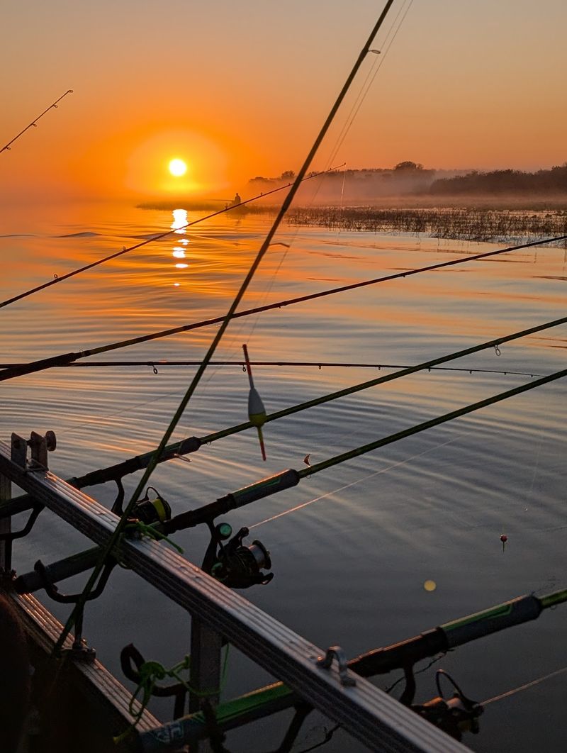 Lake Marian (Osceola County)