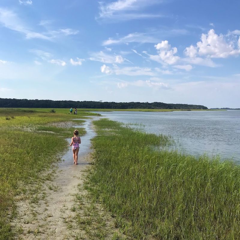 Wild Florida Coastal Trails