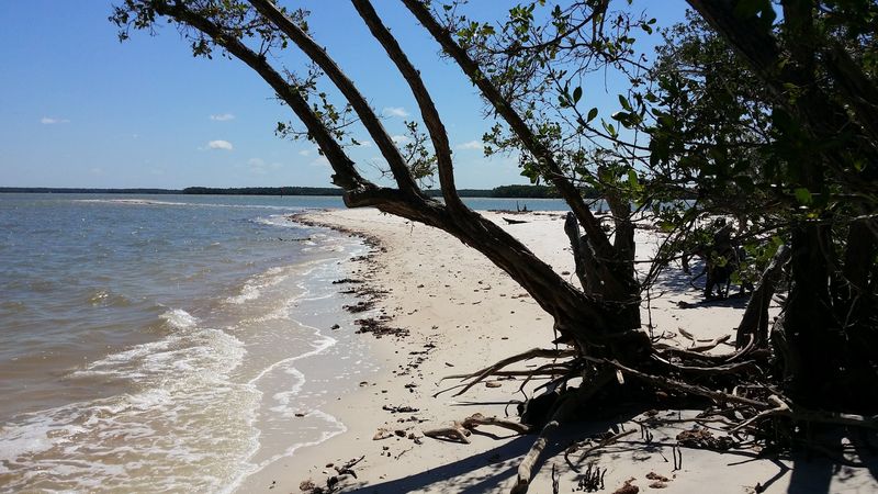 Ten Thousand Islands