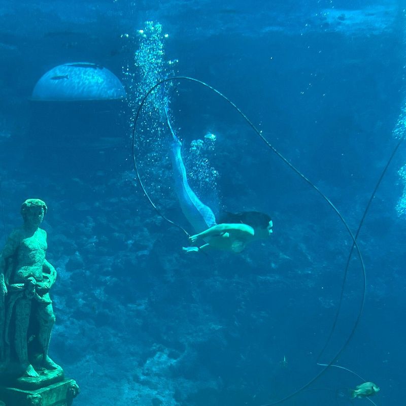 Weeki Wachee Springs (Weeki Wachee)