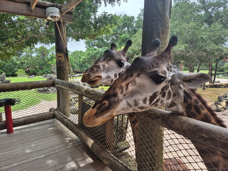 Brevard Zoo (Melbourne)