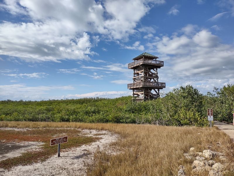 Robinson Preserve Observation Tower (Bradenton)
