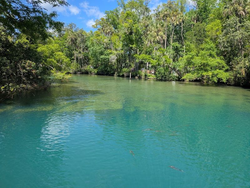 Homosassa Springs Wildlife State Park