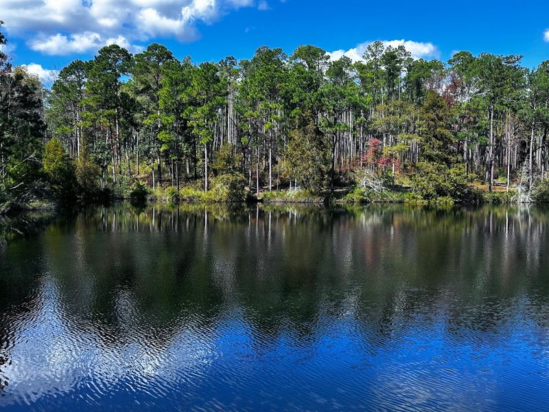 Falling Waters State Park Beach (Chipley)