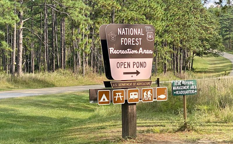 Crossing Into Conecuh National Forest