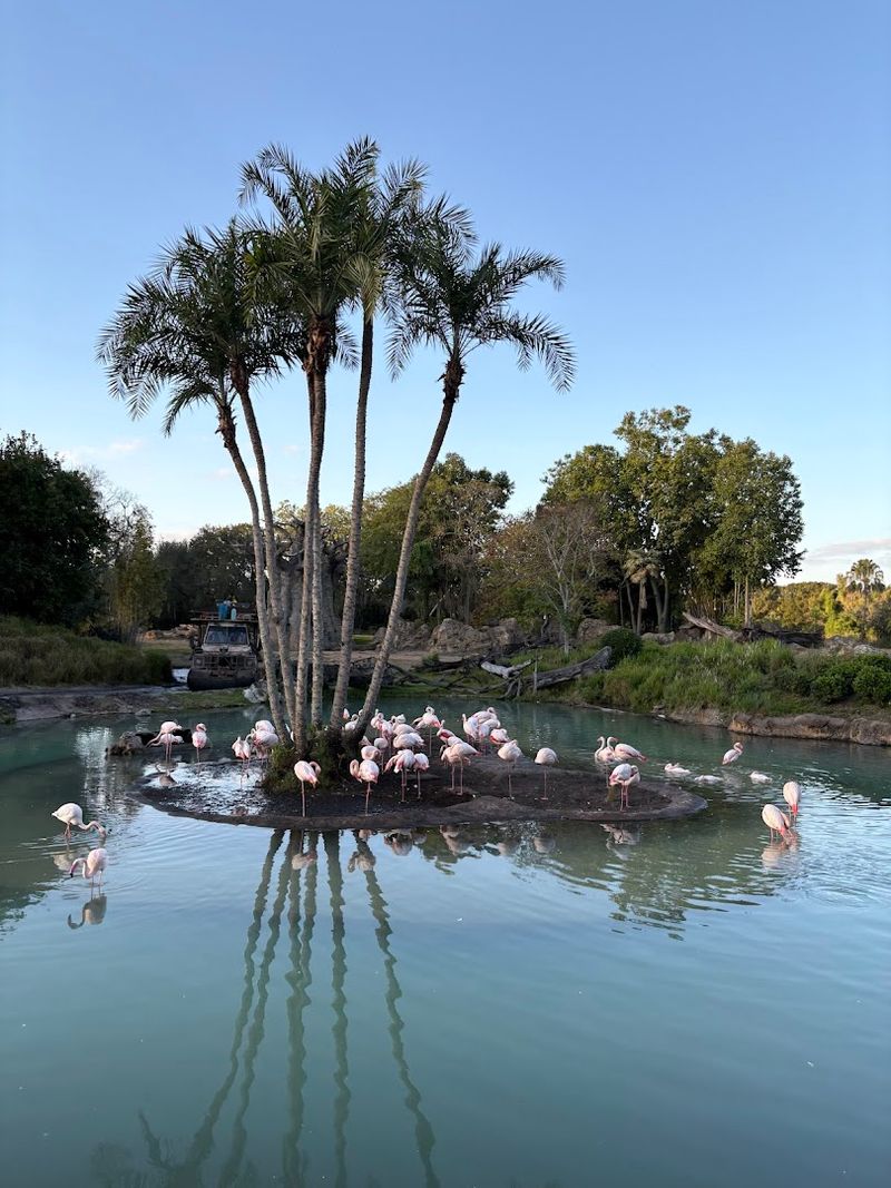 African-Themed Culinary Experience