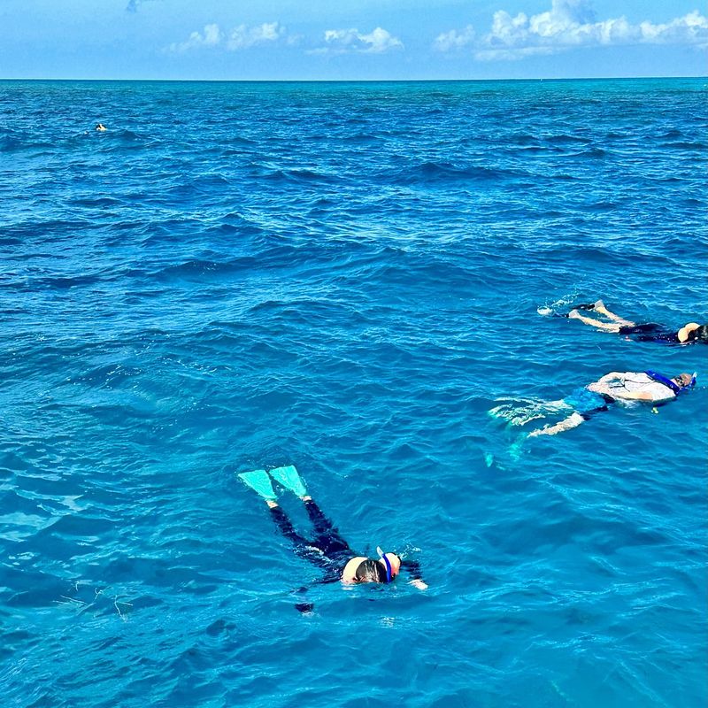 Snorkel The Only Coral Reef System In The Continental U.S. (Florida Keys)