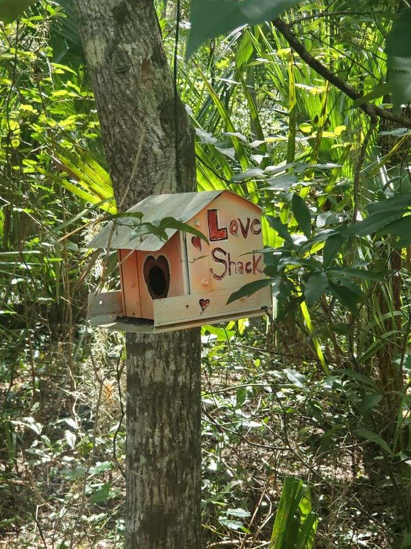 Custom Birdhouses That Double as Trail Art