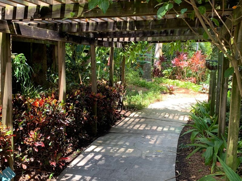 Winding Trails Through Tropical Density