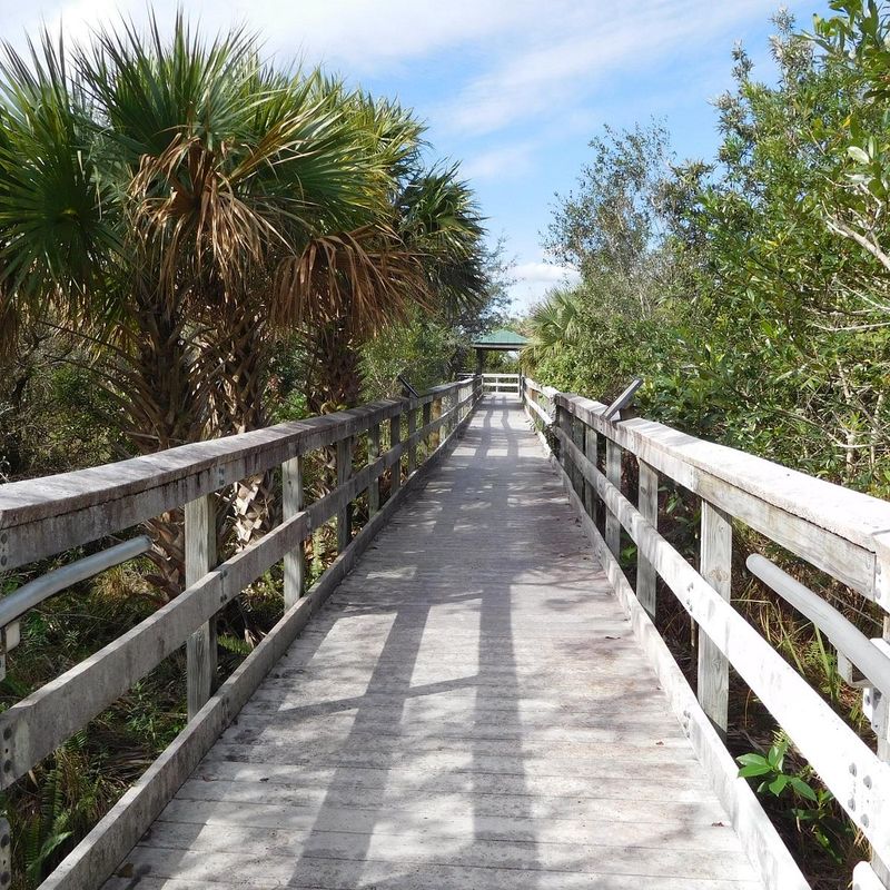 Educational Signage Brings Wetland Science to Life