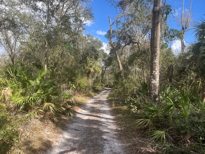 Paynes Creek Historic State Park