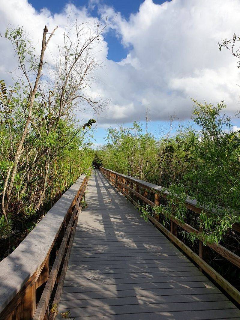 Tamiami Trail (Miami to Naples)
