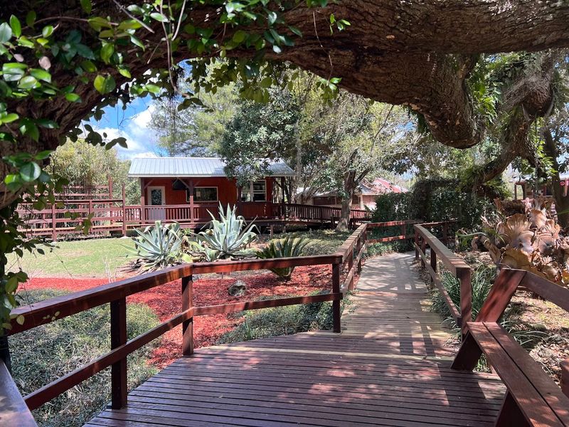 Practical Tips for Planning Your Devil's Den Trip