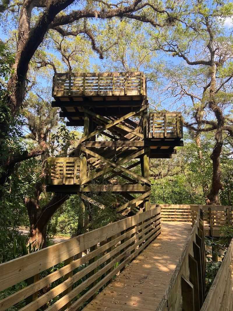 The Observation Tower That Gives You a Bird's-Eye View of the Wilderness