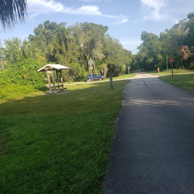 Canopy-Covered Sections That Beat the Florida Heat