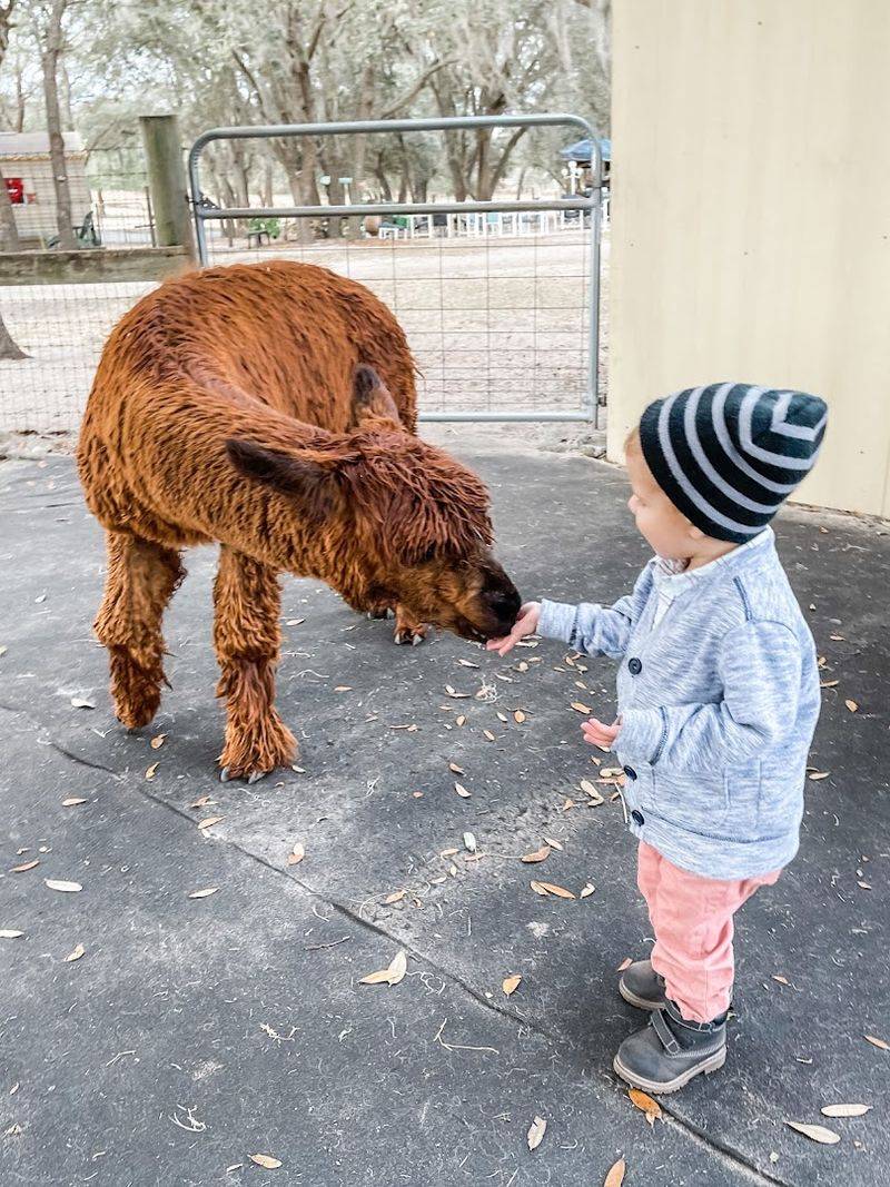 Family-Friendly Design Welcomes Visitors Of All Ages And Abilities