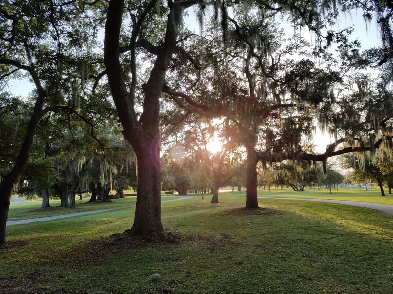 Gadsden Park