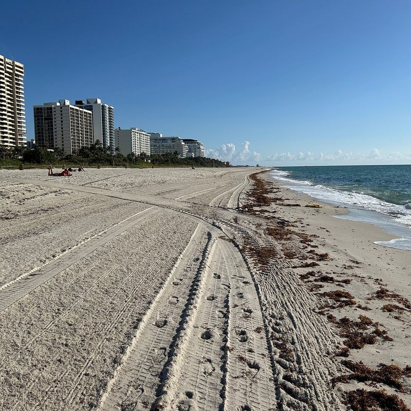 Miami Beach (Miami-Dade County)