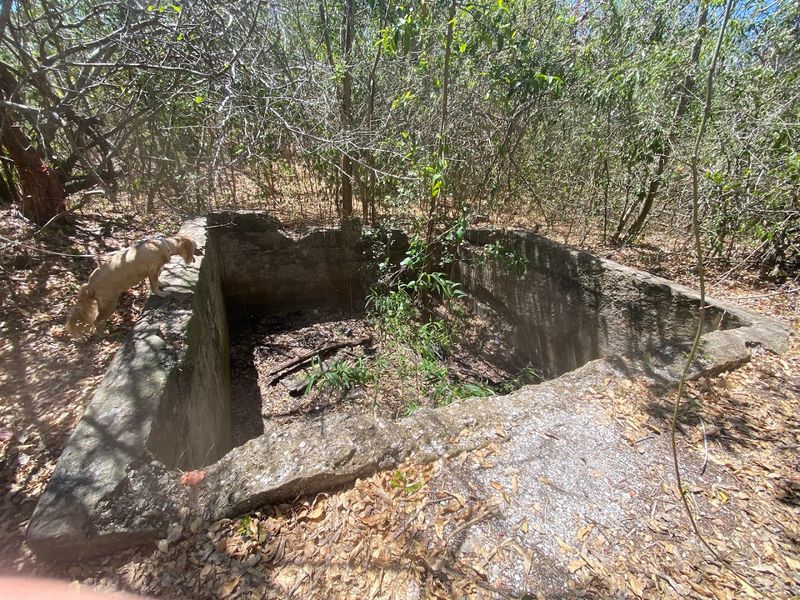 Mound Key Archaeological State Park (Estero)