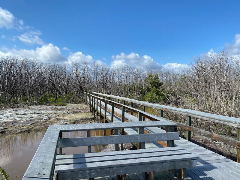 Snake Bight Trail