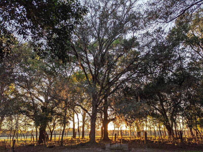 Year-Round Riding in Florida's Mild Climate