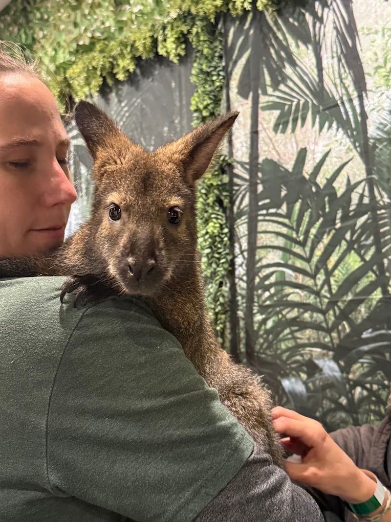 VIP Private Rooms: Exclusive Time With Your Favorite Animals