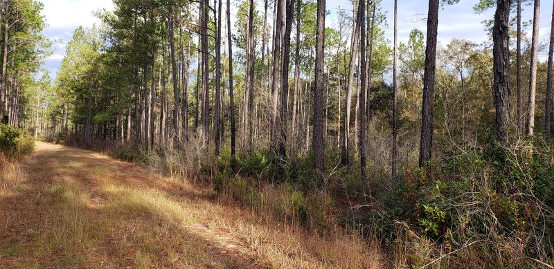 St. Marks River Preserve State Park — Tallahassee