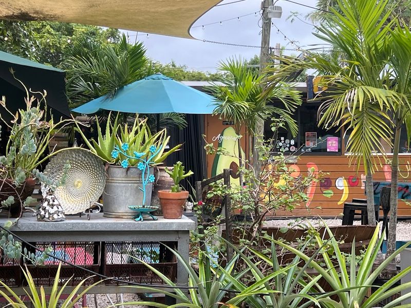 A Hidden Gem in West Miami Worth the Drive