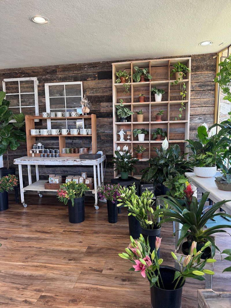 A Storefront That Feels Like A Warm Hug