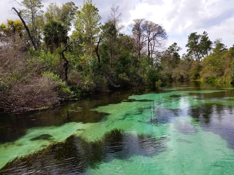 Weeki Wachee Spring Lagoon (Spring Hill)