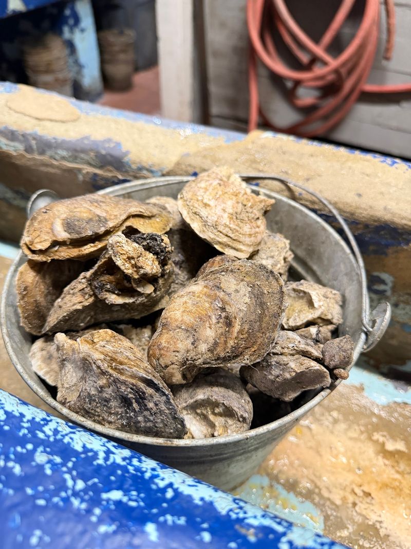 Lee & Rick's Oyster Bar (Orlando)