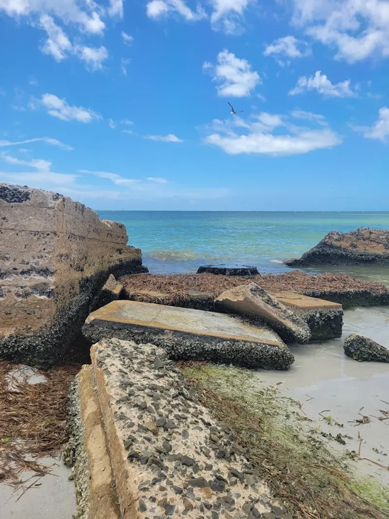 Respecting the Park and Fellow Hunters