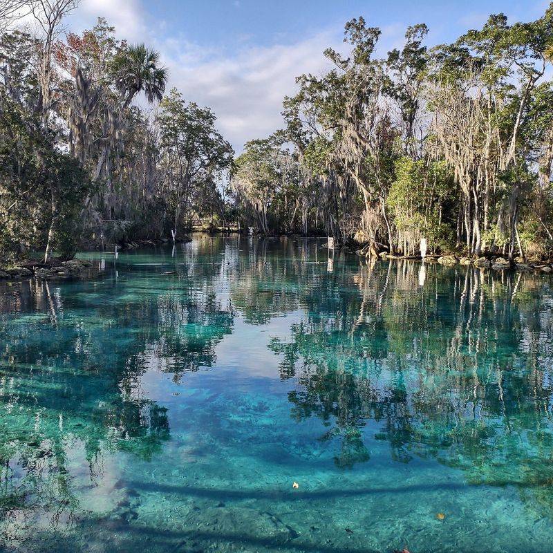 Three Sisters Springs (Crystal River)