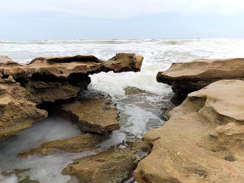 Washington Oaks Gardens State Park