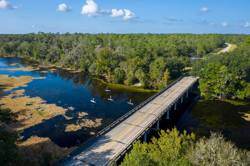 Florida Black Bear Scenic Byway